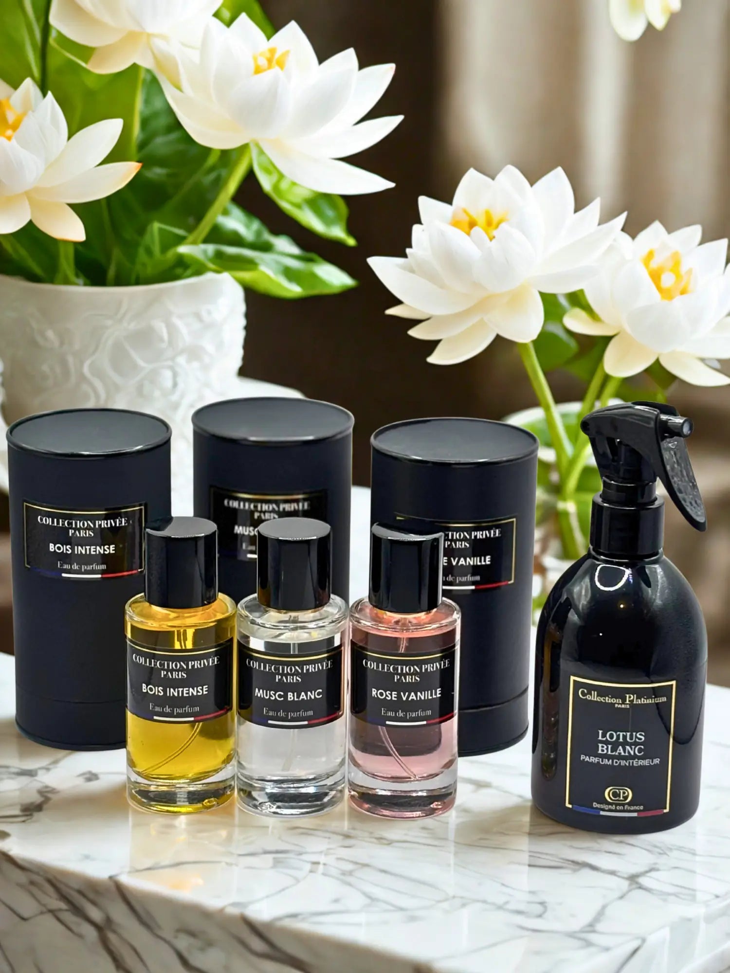 IMAGE MEILLEURES VENTES